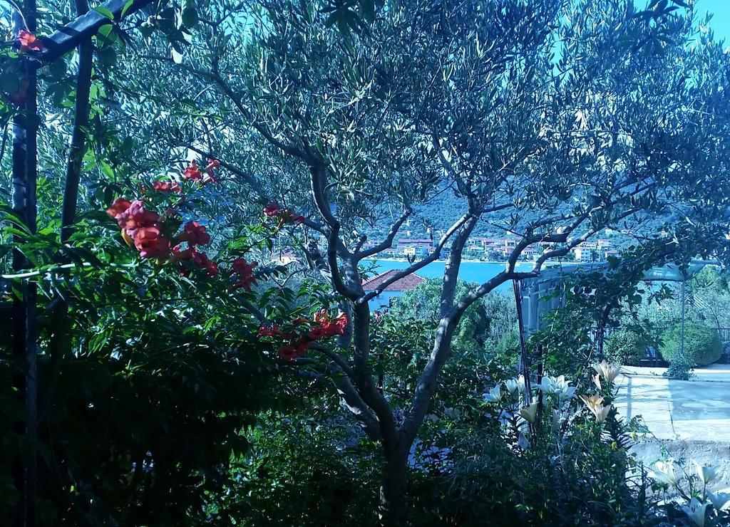 Villa Nada Vinišće Exterior foto